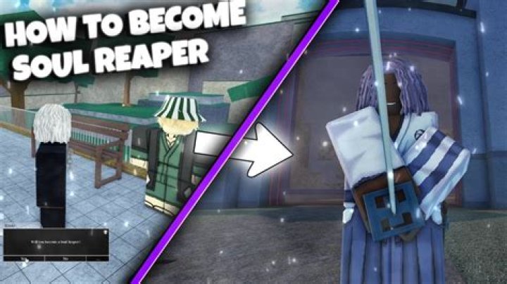 Does Karin become a Soul Reaper?