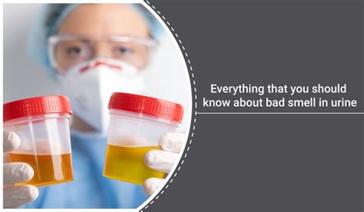 Does MS make your urine smell?