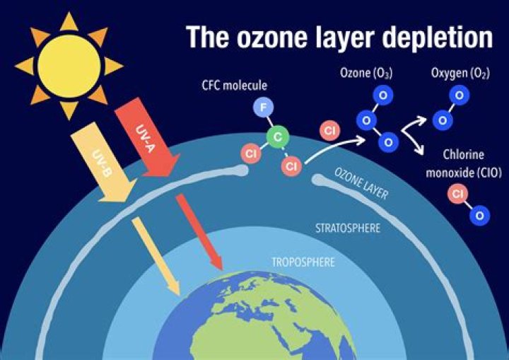 Does ozone help the liver?