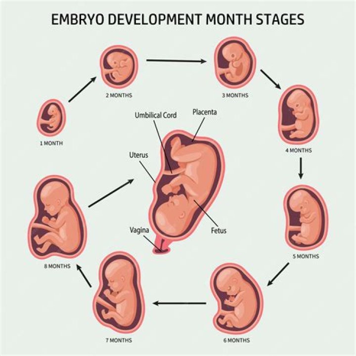 Does parenting get easier at 3 months?