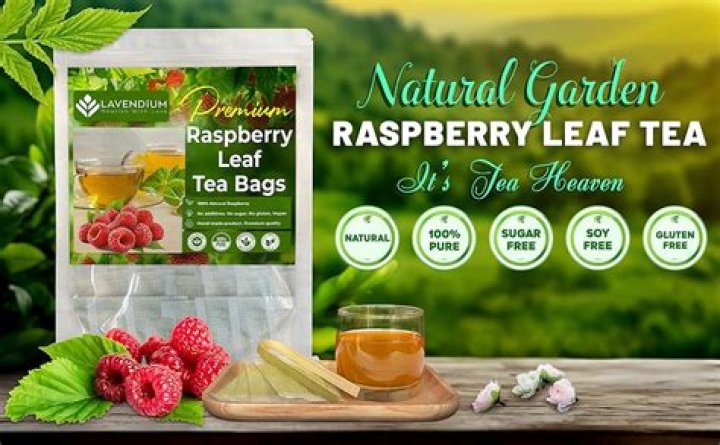 Does red raspberry leaf tea increase estrogen?