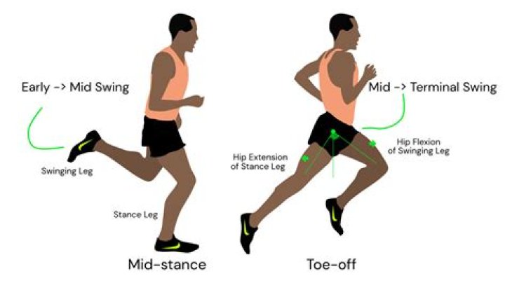 Does running make your hips bigger or smaller?