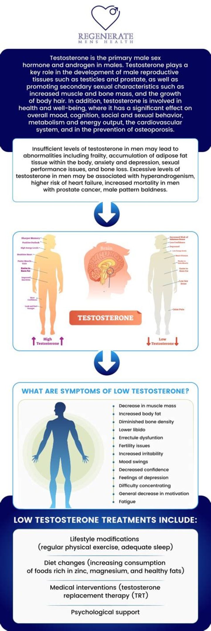 Does testosterone affect anxiety?
