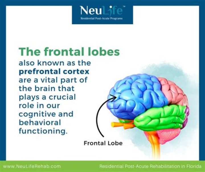 Does the frontal lobe control personality?