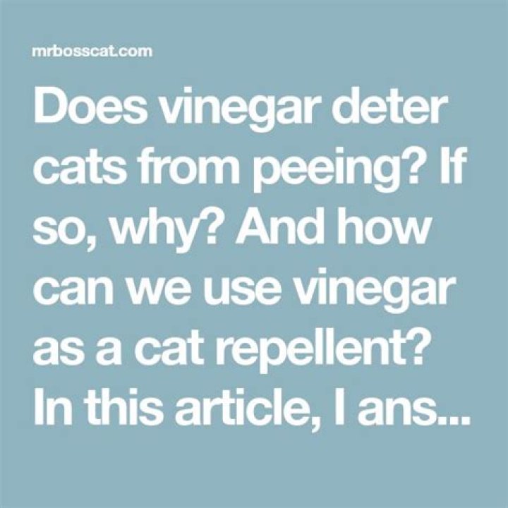 Does vinegar keep cats from peeing?