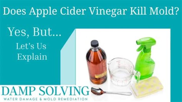 Does vinegar kill black mold in shower?