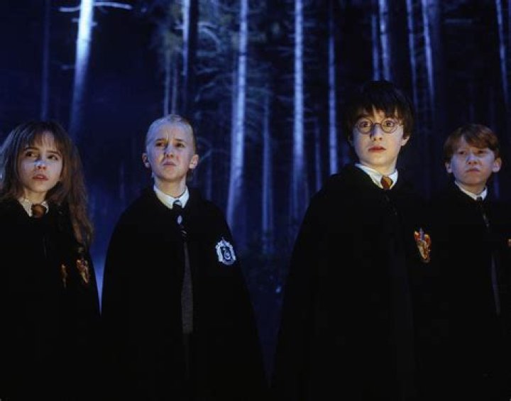 How are Draco Harry and Ron related?