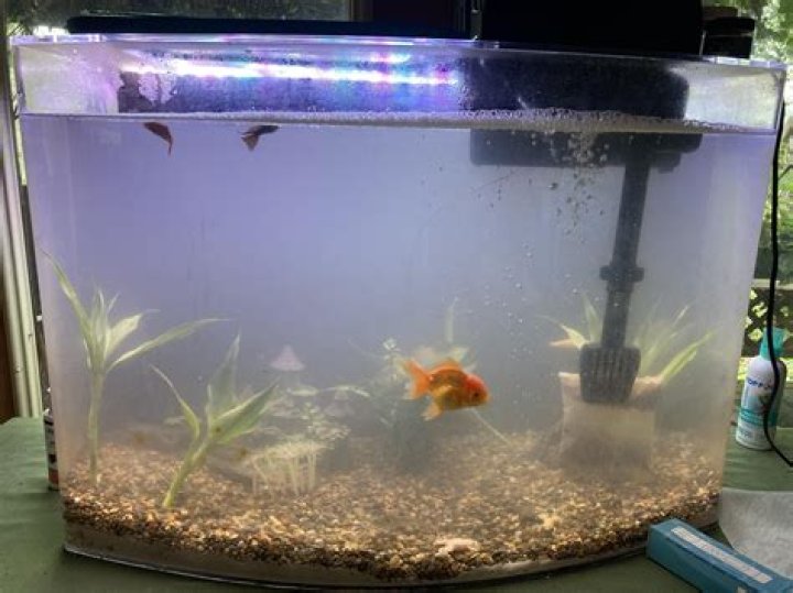 How can I add more oxygen to my goldfish tank?