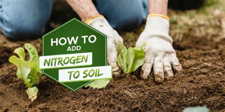 How can I add nitrogen to my lawn naturally?