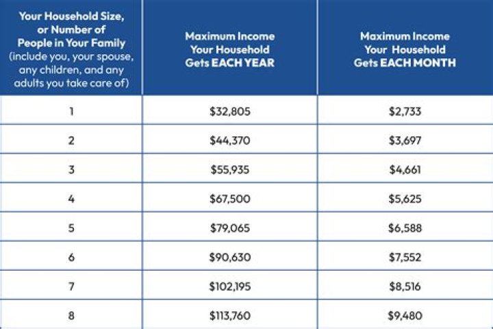 How can I get a loan with no income?