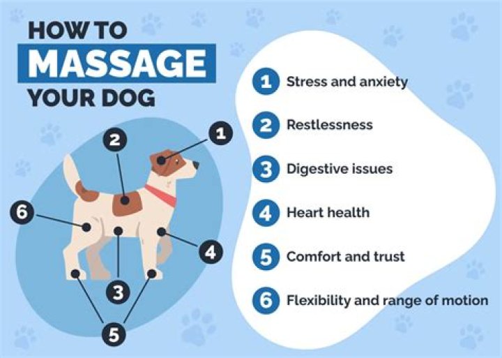 How can I help my dog with arthritis pain?