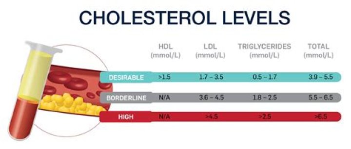 How can I lower my cholesterol before a blood test?