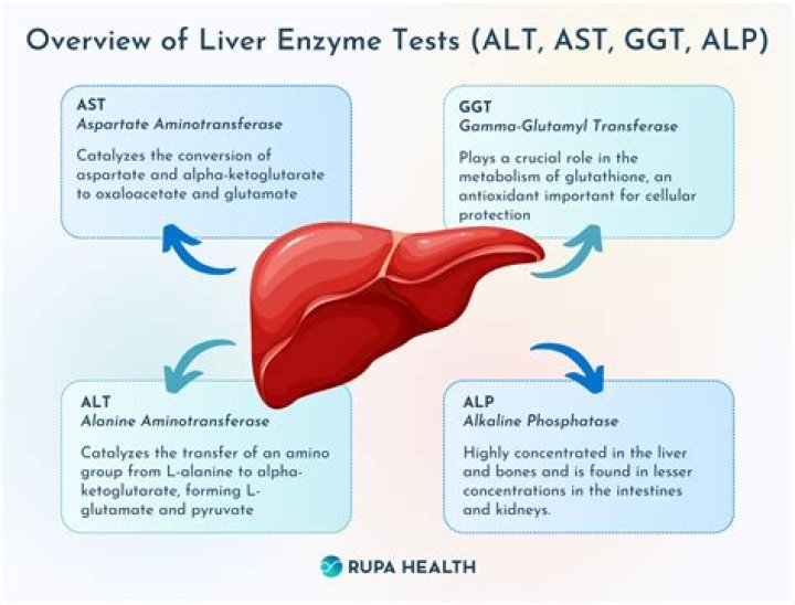 How can I lower my liver enzymes fast?
