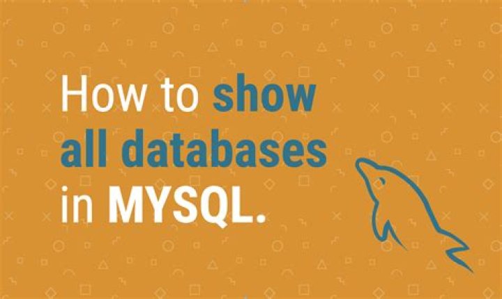 How can I see all MySQL databases?
