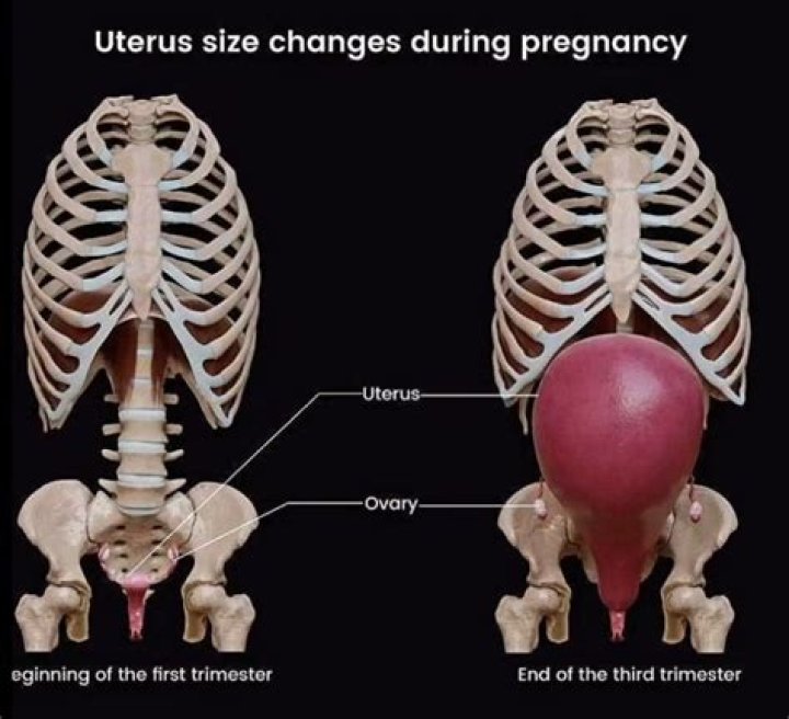 How can I tighten my uterus after birth?