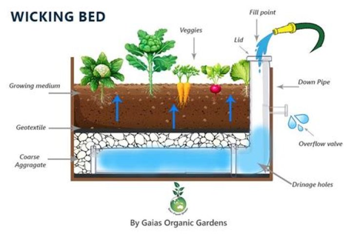 How deep should a wicking bed be?