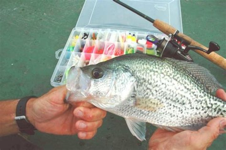How deep should you fish for crappie?