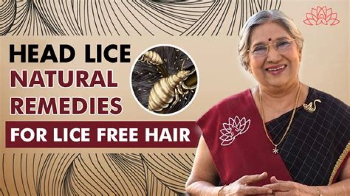 How did people get rid of lice in old days?
