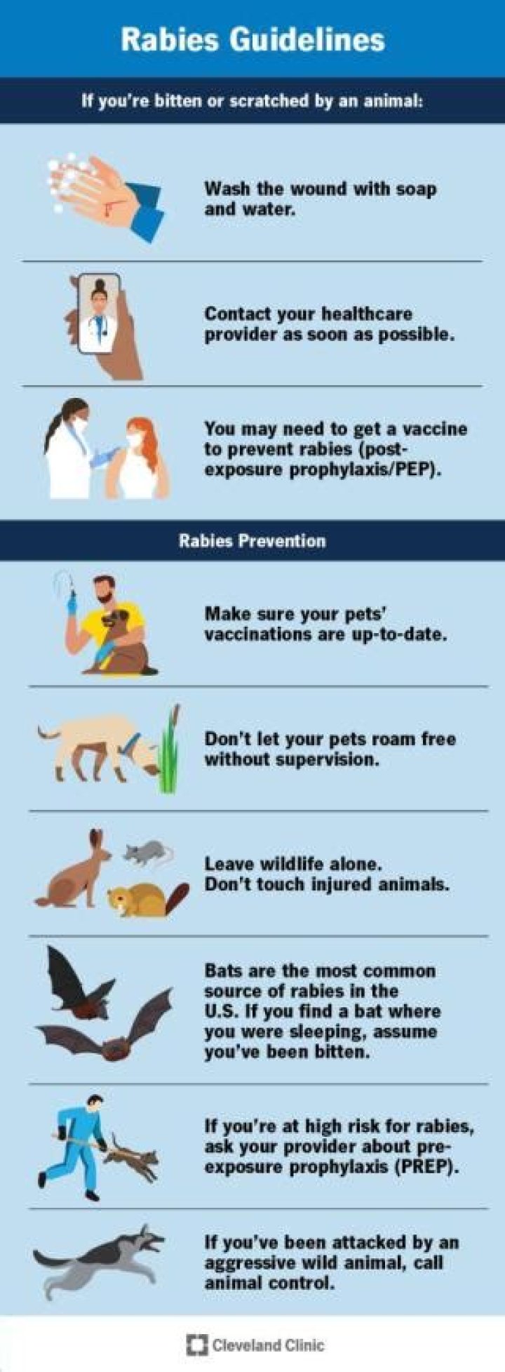 How do I make sure I don't get rabies?