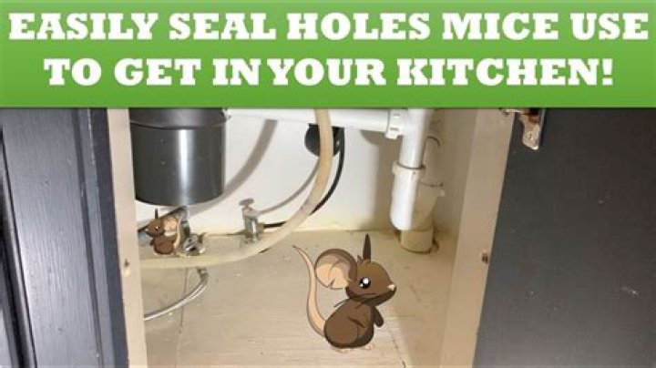 How do I mouse proof my kitchen?