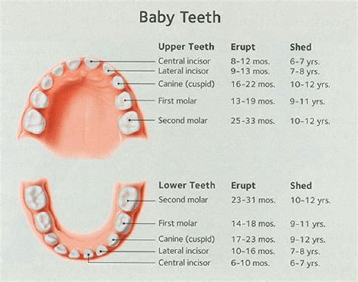 How do I prepare my 6 year old for a new baby?