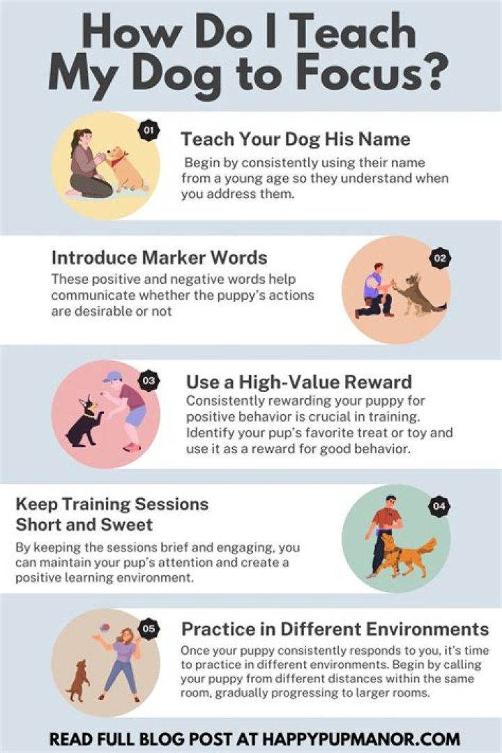 How do I teach my dog to apologize?
