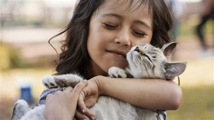 How do I teach my toddler to be gentle with my cat?