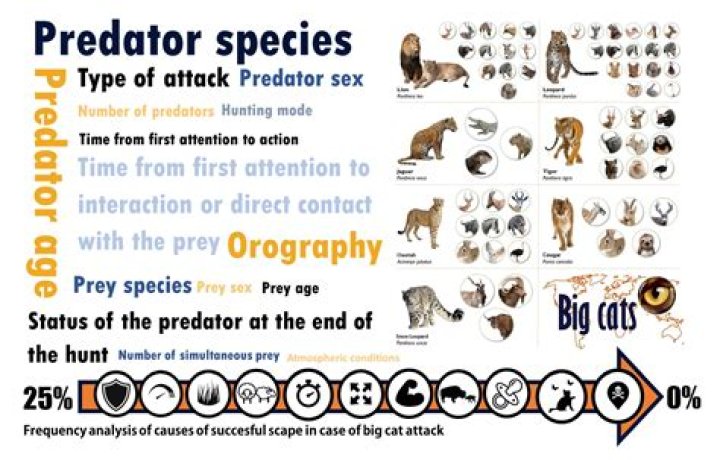 How do online predators find their victims?