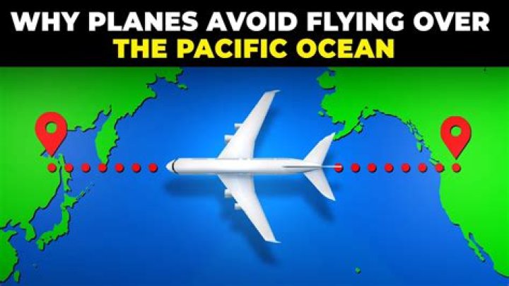 How do planes avoid birds?