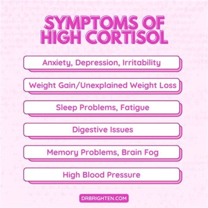 How do you feel when your cortisol is high?
