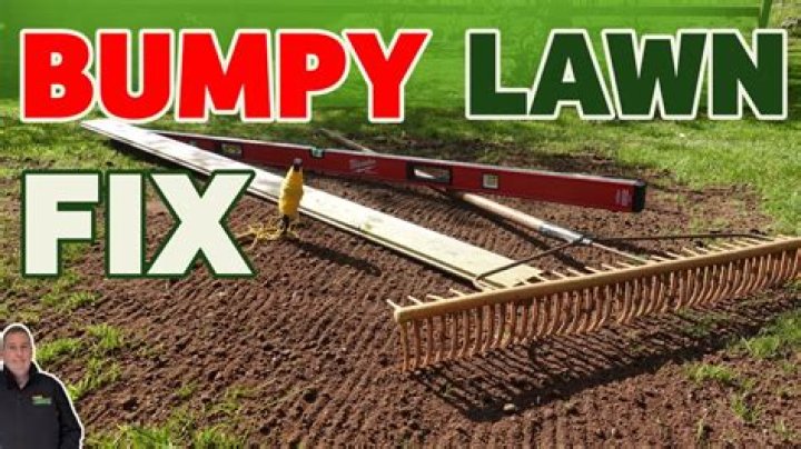 How do you flatten a mole tunnel?