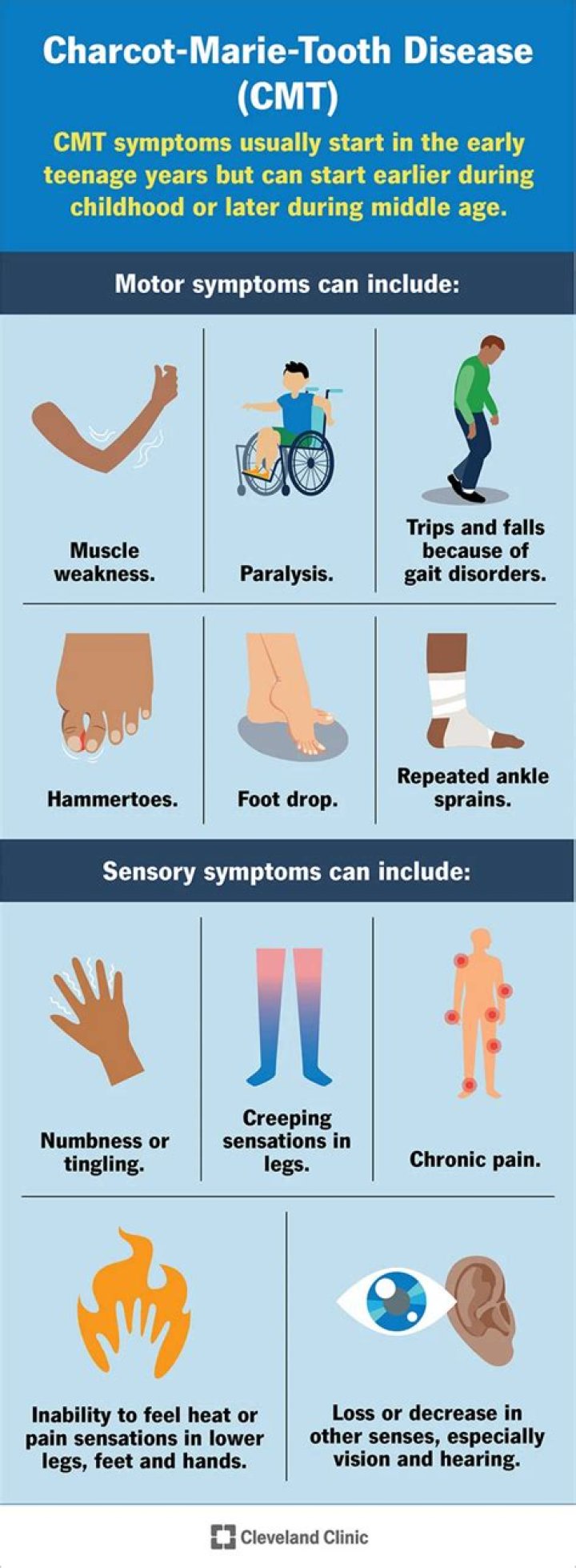 How do you get CMT disease?
