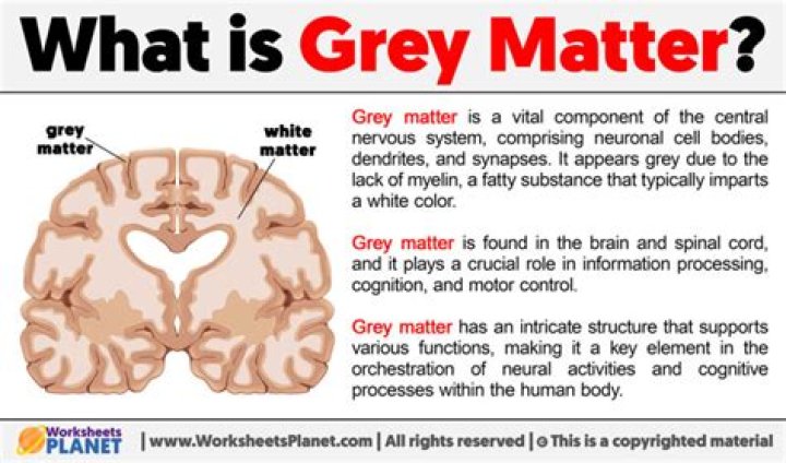 How do you increase GREY matter?