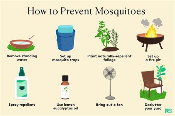 How do you keep mosquitoes away naturally?