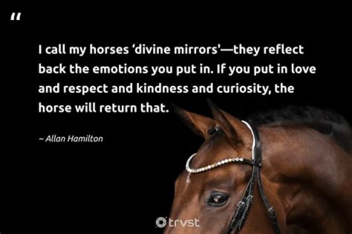 How do you make a horse love You?