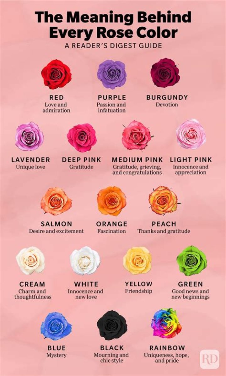 How do you make a rose color?