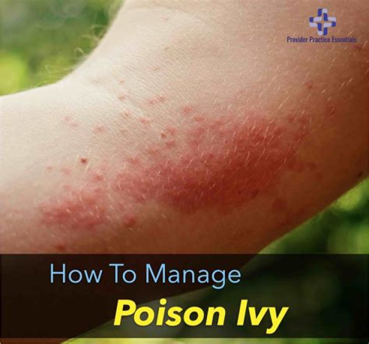 How do you make poison for mice?
