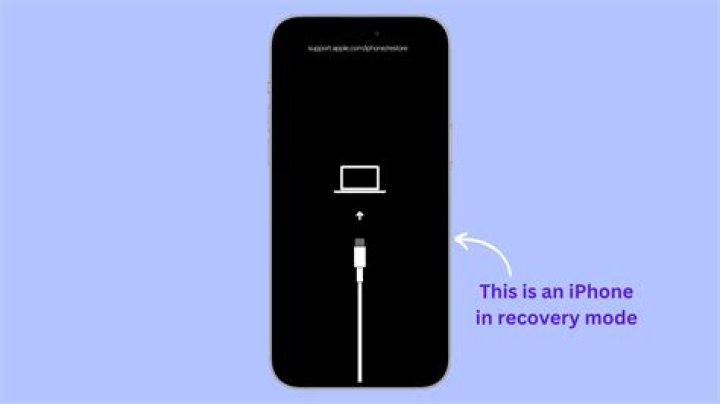 How do you put your iPhone on private mode?