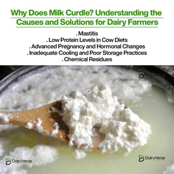 How do you restore curdled milk?