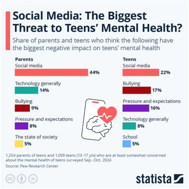 How do you see the effect of social media to teenagers today?