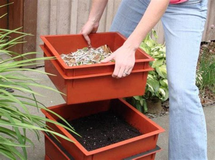 How do you shred cardboard for worm bedding?