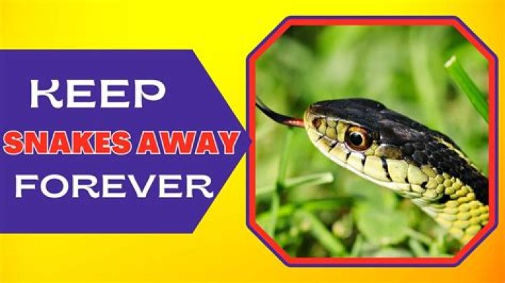 How do you stop snakes from entering?