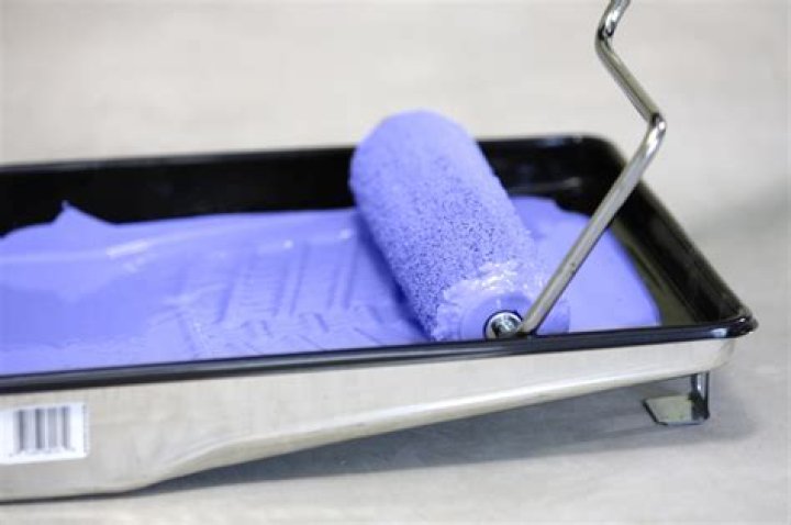 How do you store a paint roller for the next day?