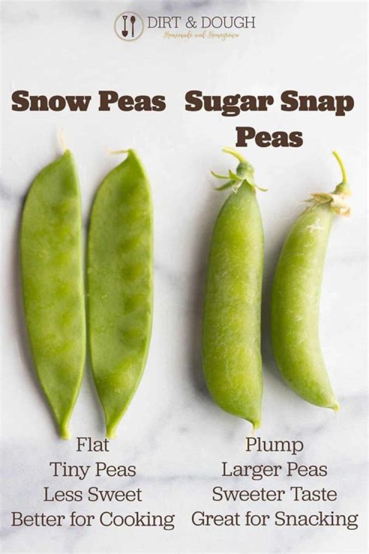 How do you tell the difference between sugar snap peas and shelling peas?