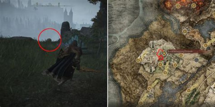 How do you use Elden's ring in Carian retaliation?