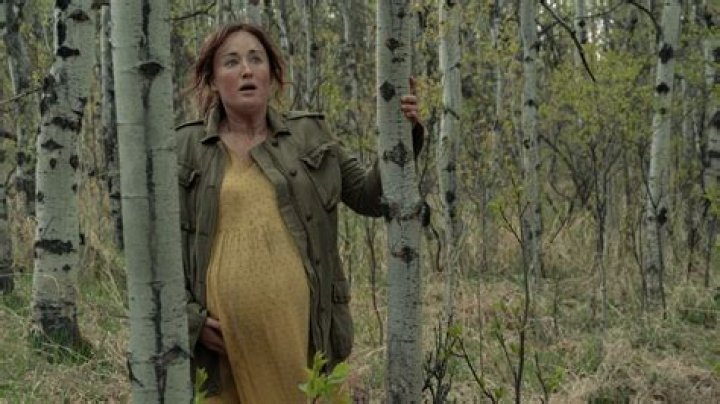 How does Ellie get pregnant?