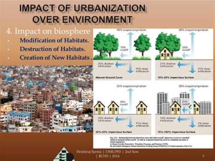 How does urbanization cause poverty?
