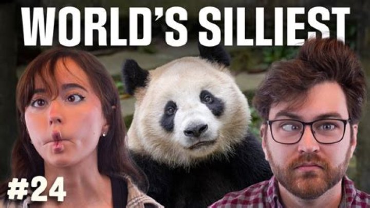 How dumb are pandas?