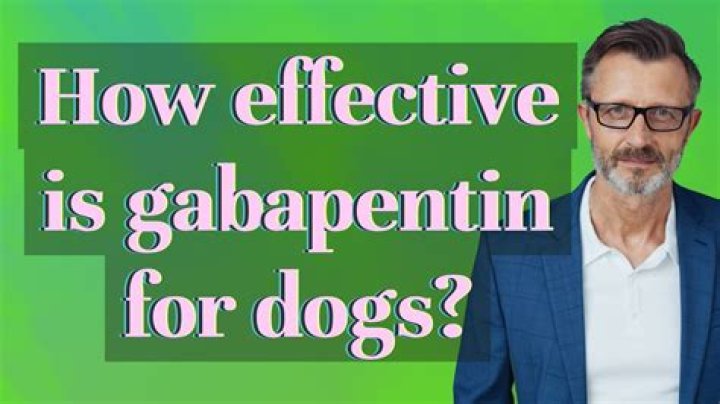 How effective is gabapentin for dogs?