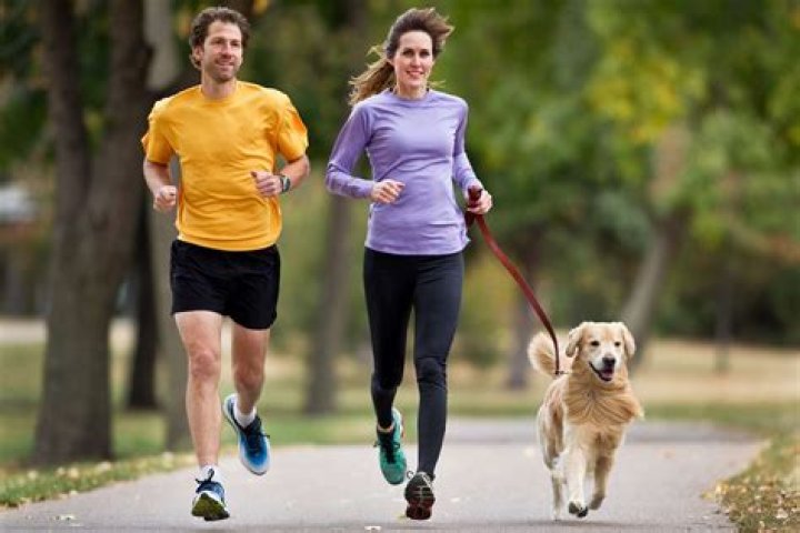 How far is too far to run with a dog?